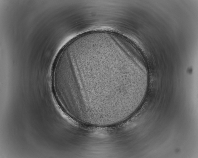 X0000098161038200805011426