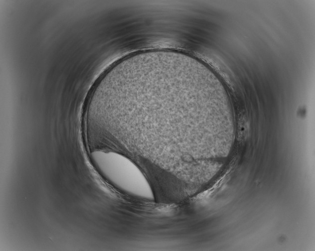 X0000098161039200805011426