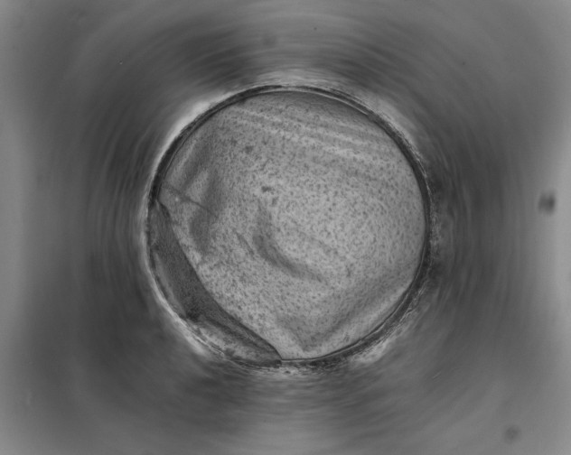 X0000098161040200805011426