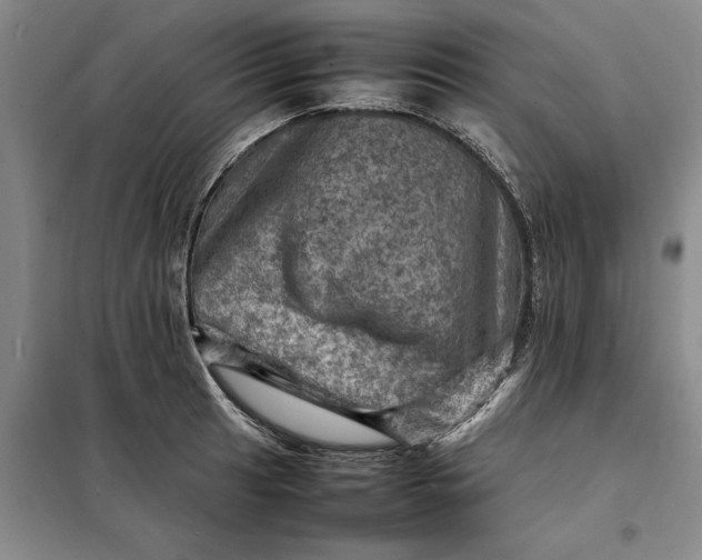 X0000098161041200805011426