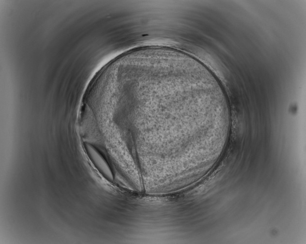 X0000098161044200805011426