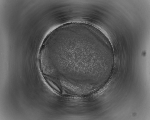 X0000098161045200805011426