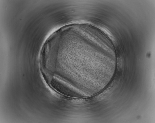 X0000098161046200805011426