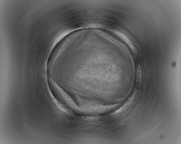 X0000098161047200805011426