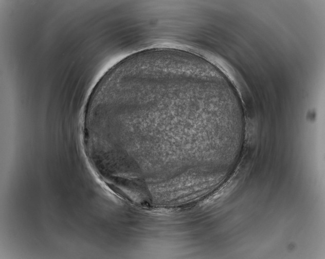 X0000098161048200805011426