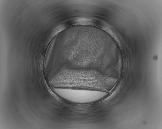 X0000098161049200805011426