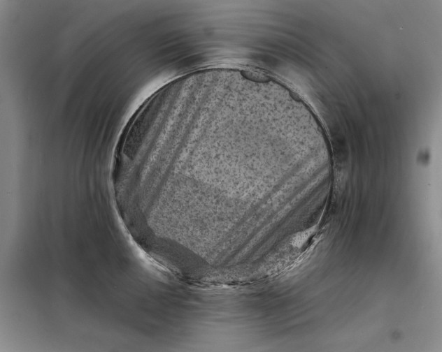 X0000098161050200805011426