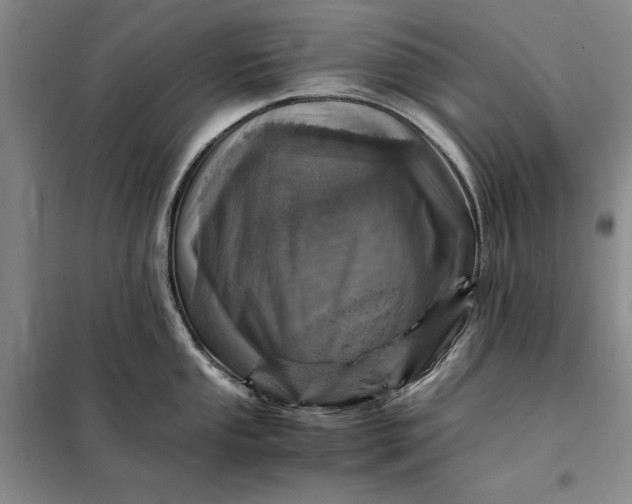 X0000098161053200805011426