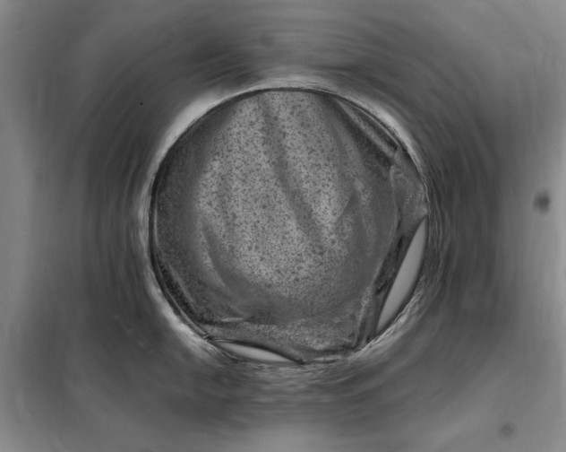 X0000098161054200805011426