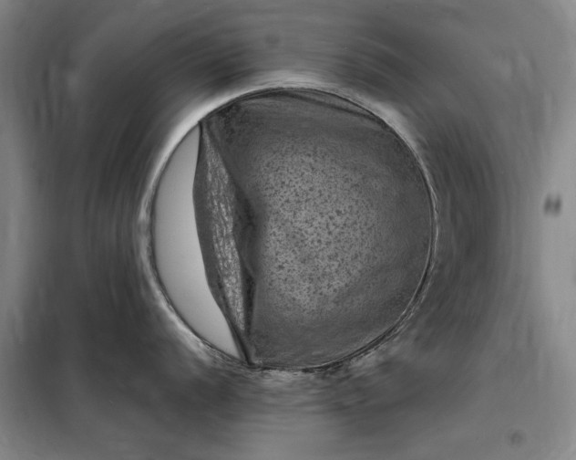 X0000098161056200805011426