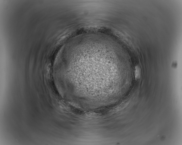 X0000098161059200805011425
