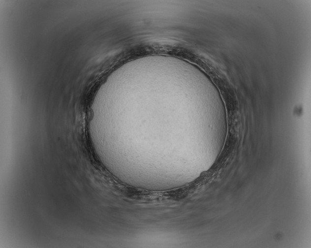 X0000098161061200805011425