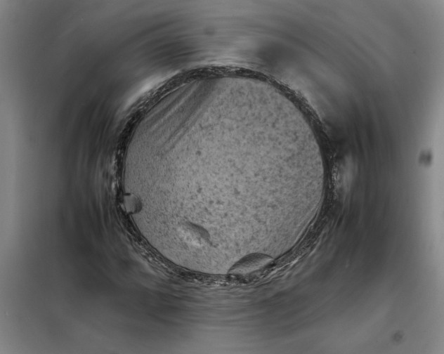 X0000098161064200805011425