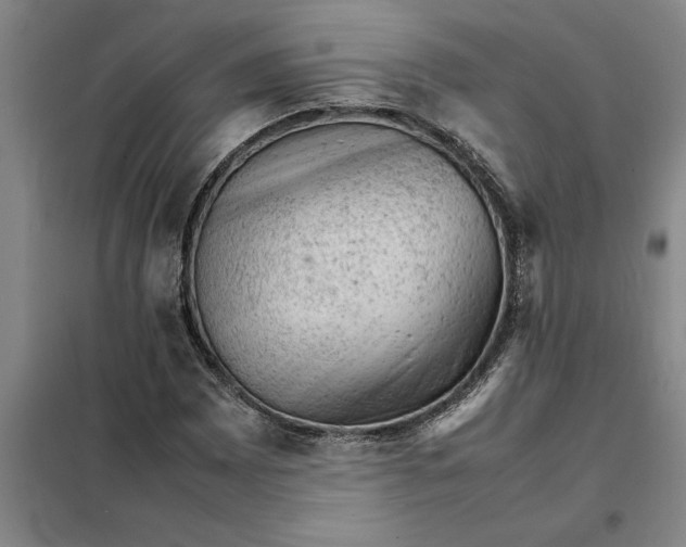 X0000098161065200805011425