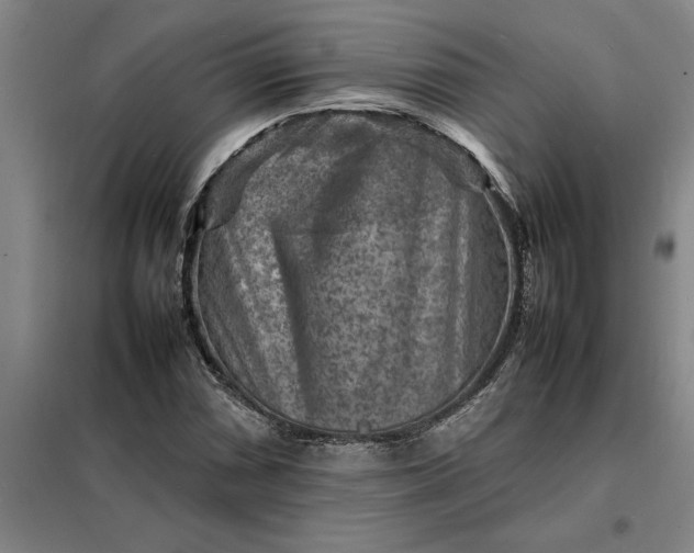 X0000098161066200805011425