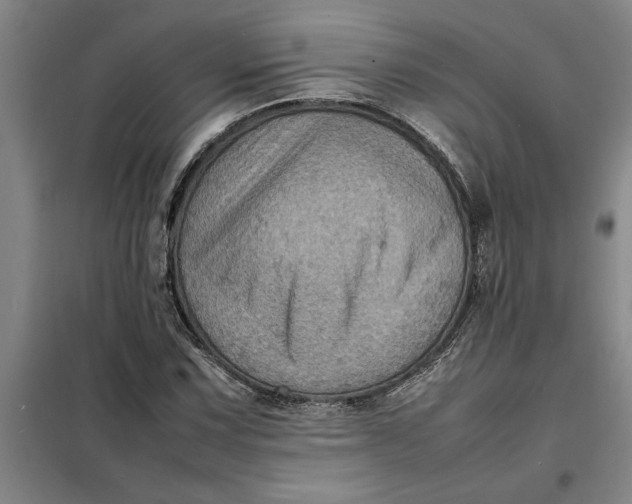 X0000098161067200805011425