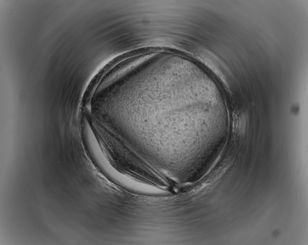 X0000098161068200805011425