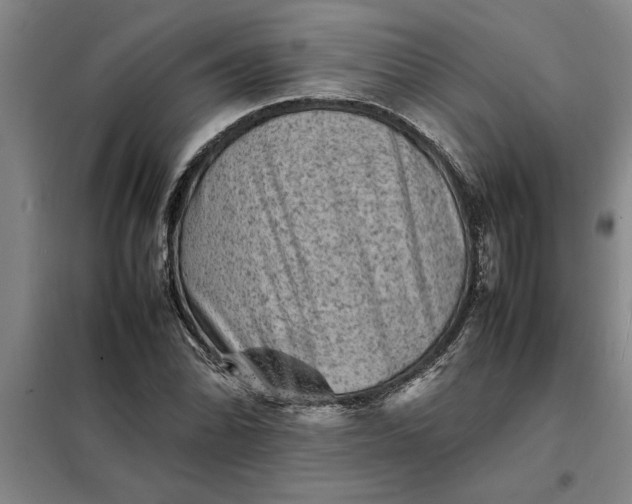 X0000098161070200805011425
