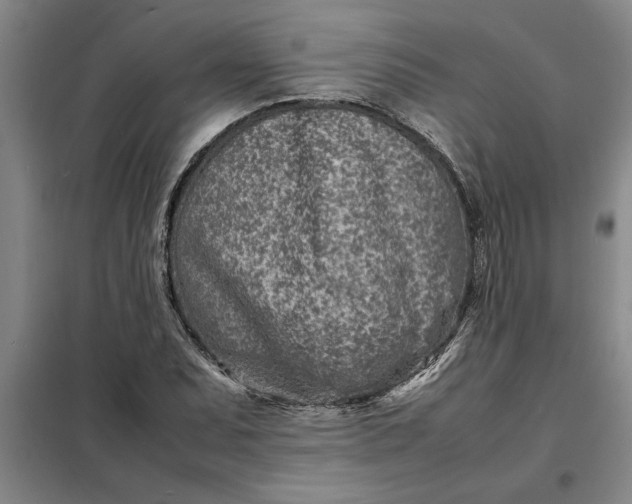 X0000098161071200805011425