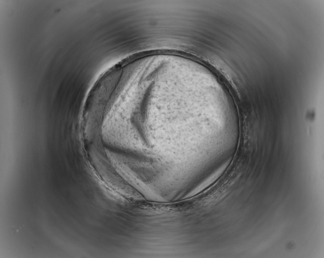 X0000098161072200805011425