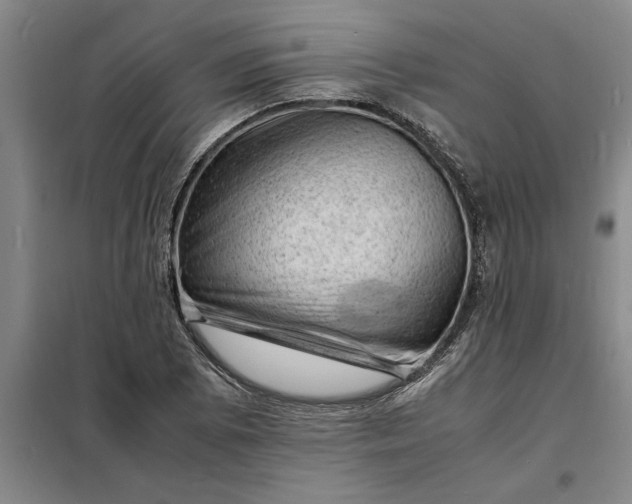 X0000098161073200805011425