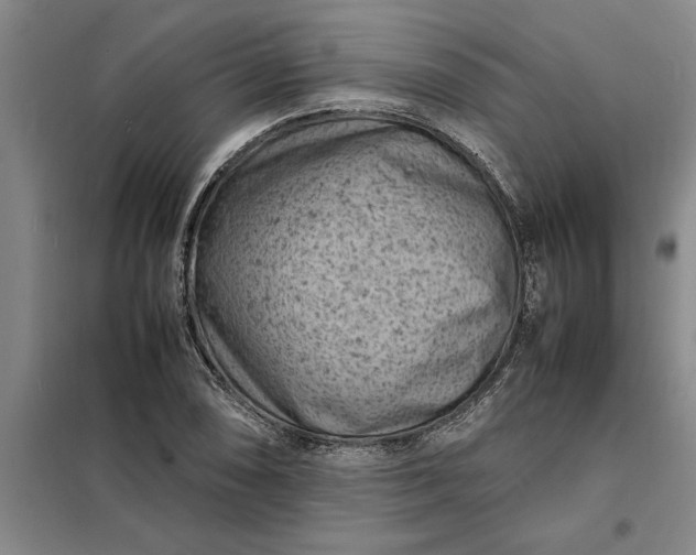 X0000098161074200805011425