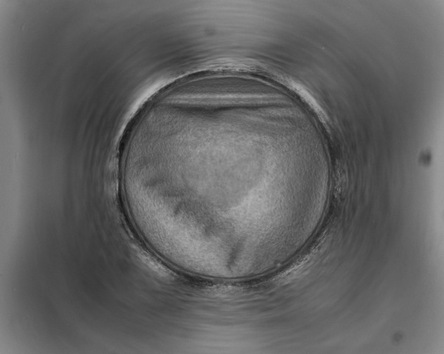 X0000098161075200805011425