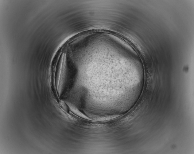 X0000098161076200805011425