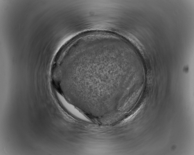X0000098161077200805011425