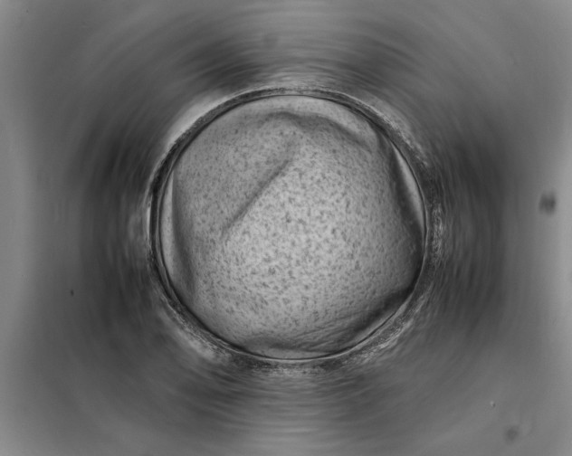 X0000098161078200805011425
