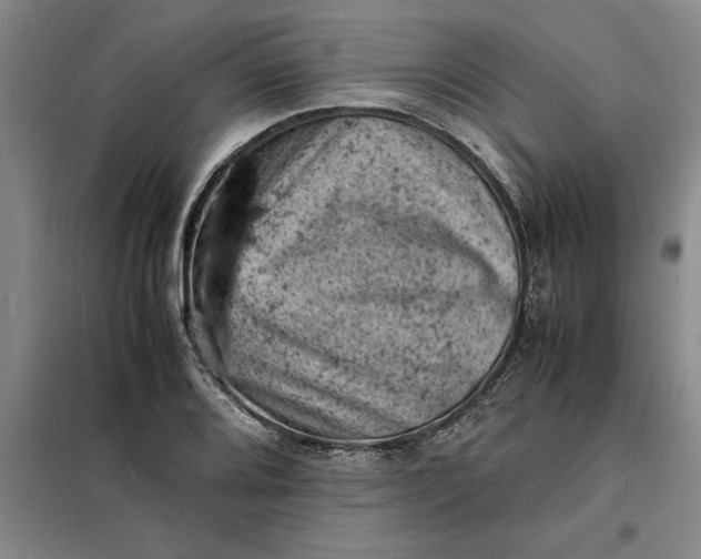 X0000098161080200805011425