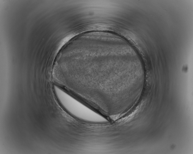 X0000098161081200805011425