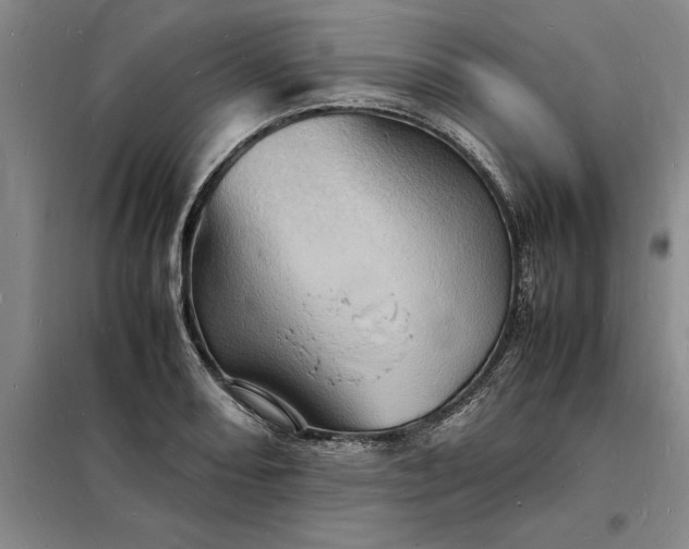 X0000098161082200805011425