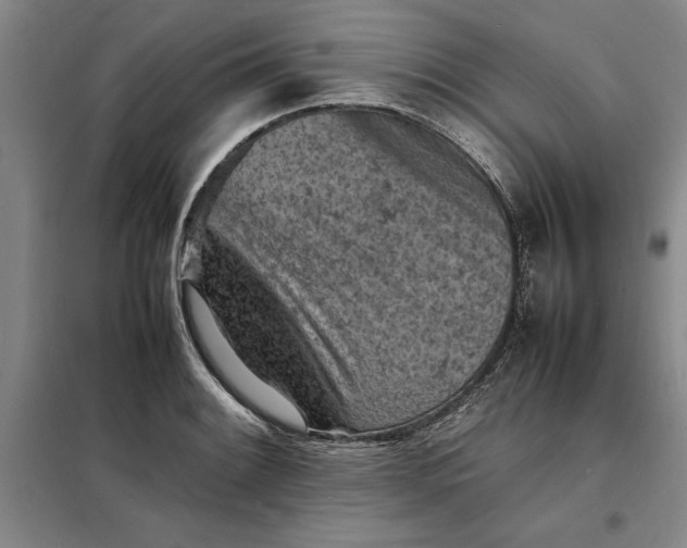 X0000098161084200805011425