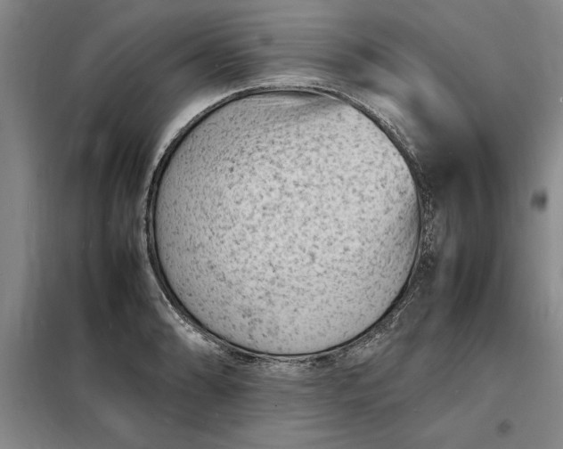 X0000098161086200805011425