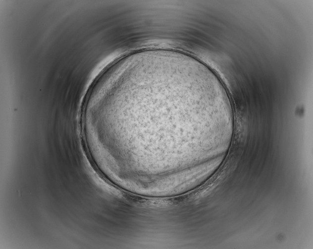 X0000098161090200805011425