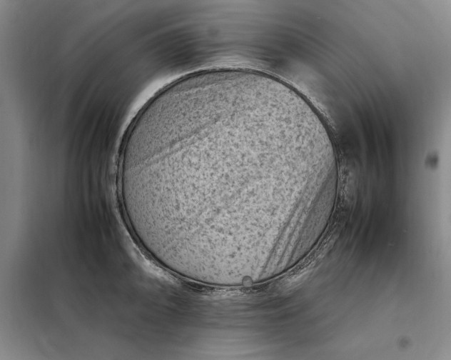 X0000098161094200805011425