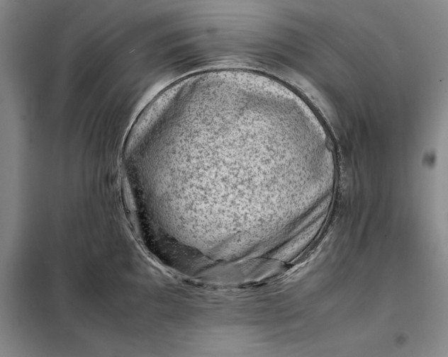 X0000098161097200805011425