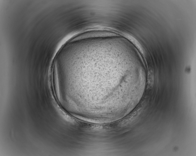 X0000098161098200805011425