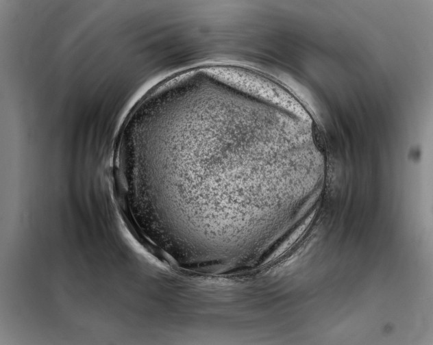X0000098161100200805011425