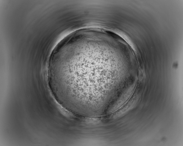X0000098161101200805011425
