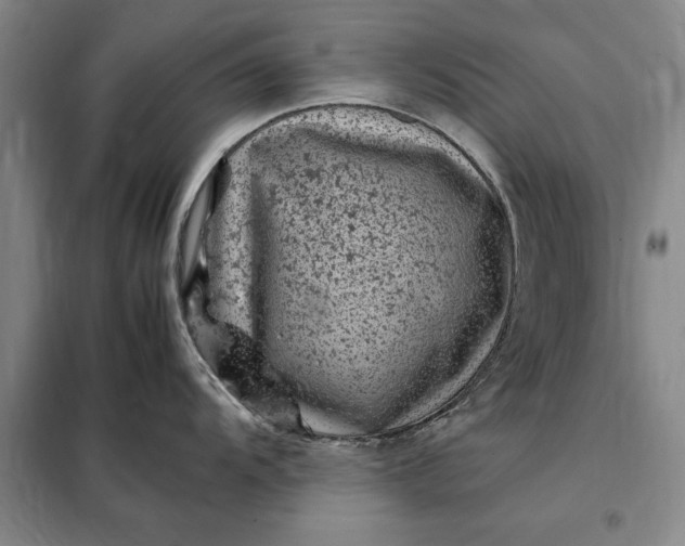 X0000098161104200805011425