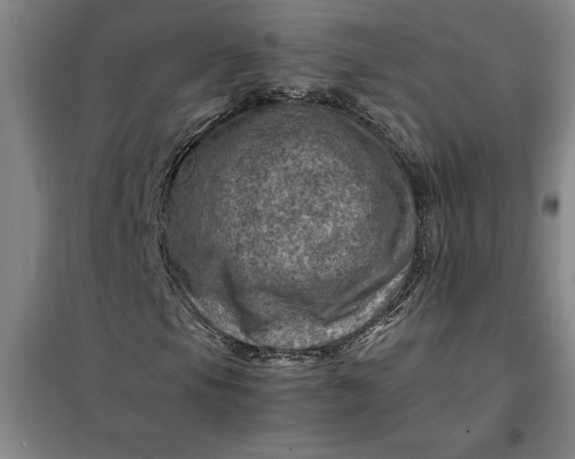 X0000098161105200805011424