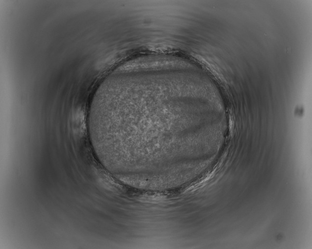 X0000098161106200805011424