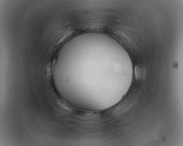 X0000098161107200805011424