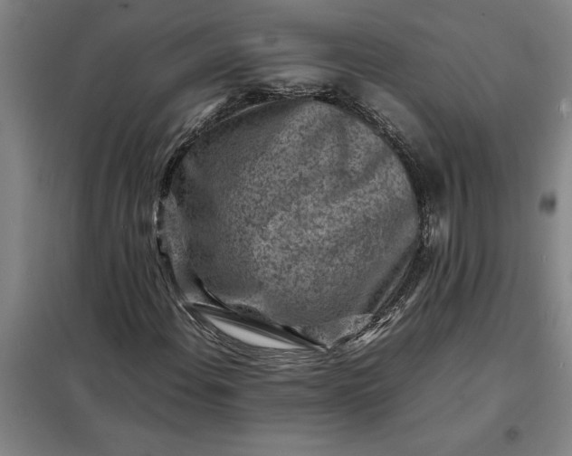 X0000098161108200805011424