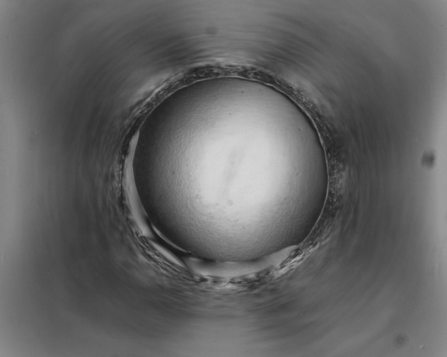 X0000098161110200805011424