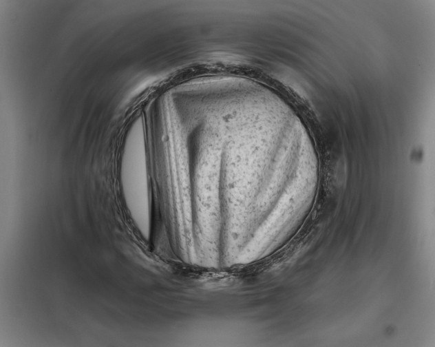 X0000098161112200805011424