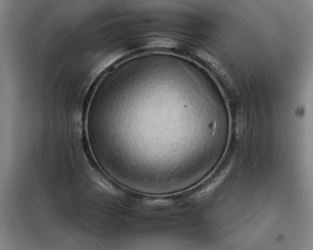 X0000098161113200805011424