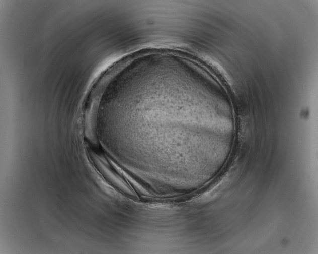 X0000098161114200805011424